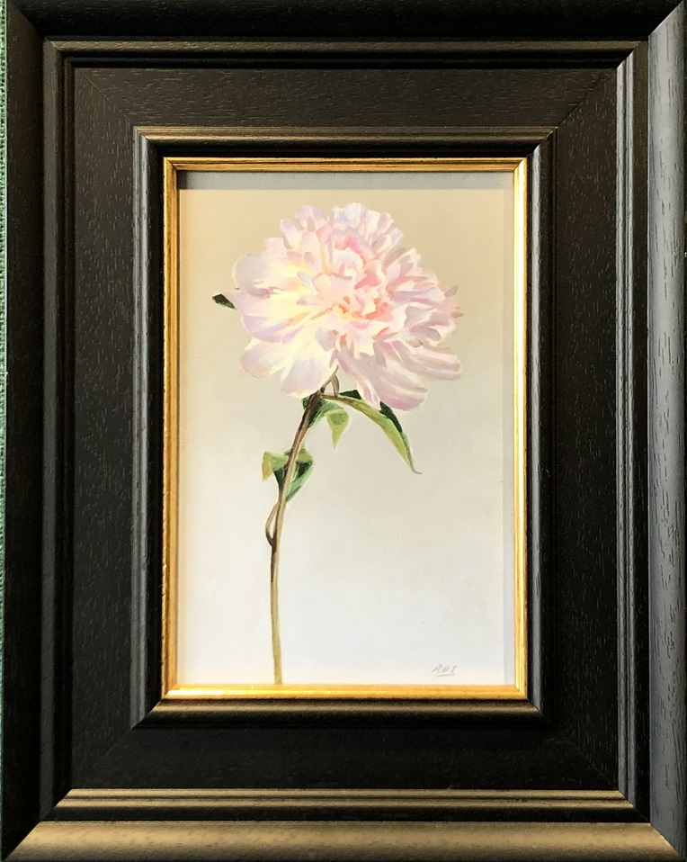 Peony IV